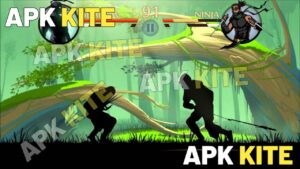 Shadow Fight 2